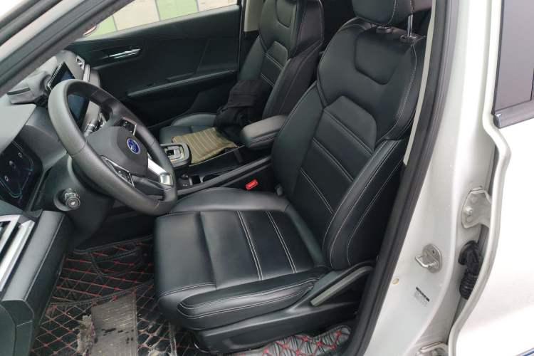 Used BYD e2 2019 Long-Range Version Yao·Luxury Trim
