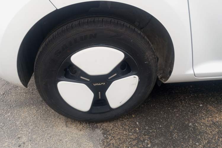 Used Qiyuan Lumin 2023 205km Xiangqin Version