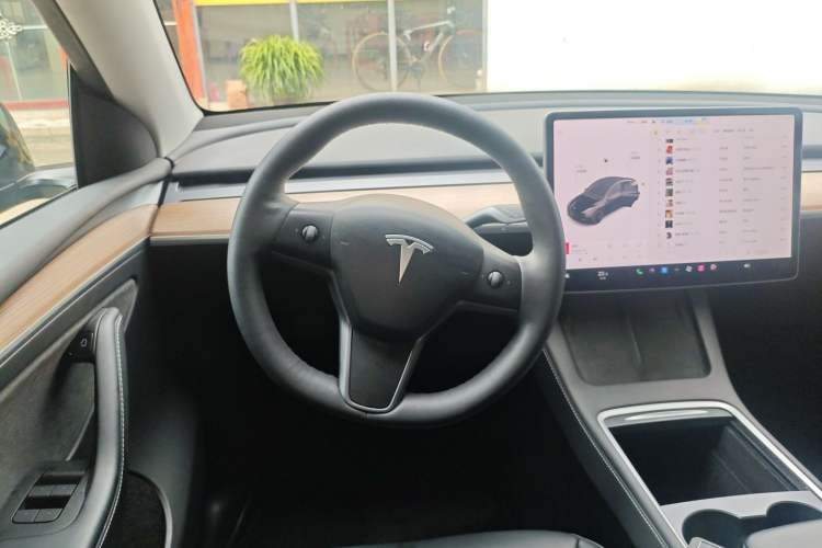 Used Tesla Model Y 2021 Standard Range Rear-Wheel Drive Version
