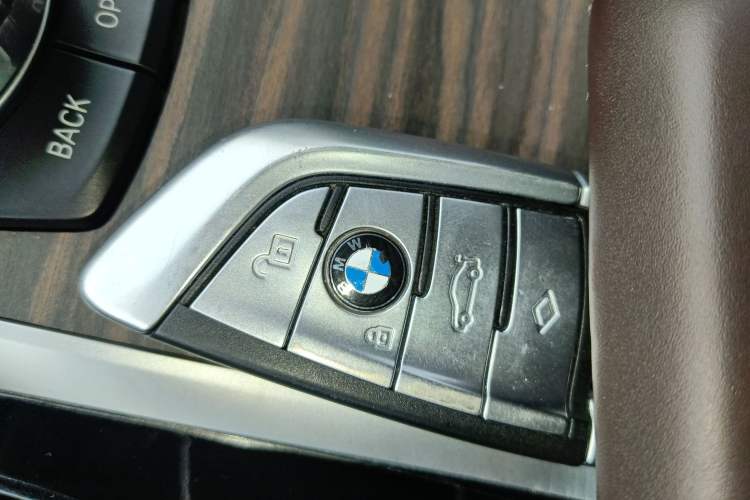 Used BMW 5 Series New Energy 2020 530Le Luxury Package
