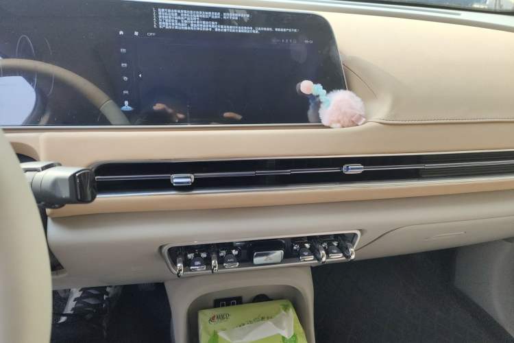 Used ORA Good Cat 2022 Morandi Edition 400km Standard Range Premium Version Lithium-Ion Battery Audio And AC Panel