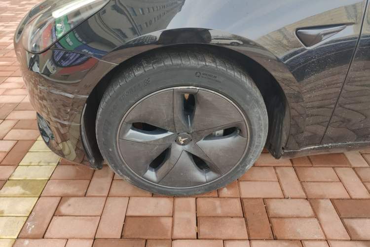 Used Tesla Model 3 2022 Rear-Wheel-Drive Version