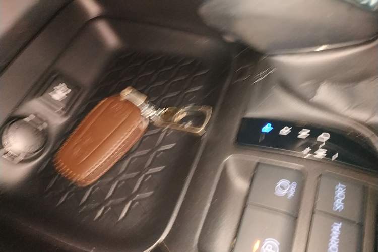 Used Toyota Wildlander 2021 2.0L CVT Two-Wheel Drive Luxury Edition
