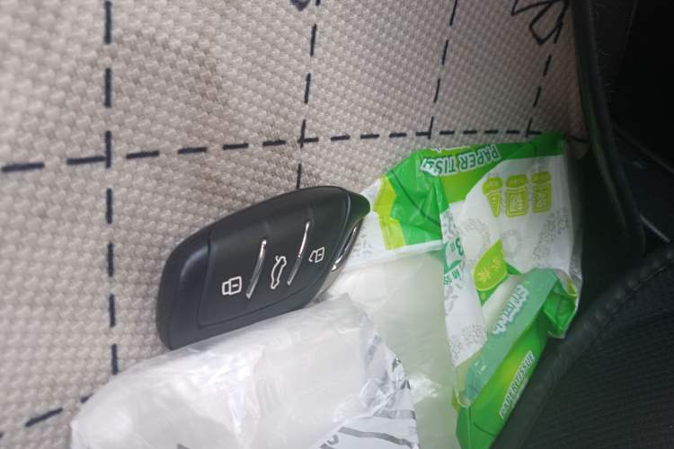 Used Roewe Clever 2022 311km QiQi BoBo Edition Vehicle Key