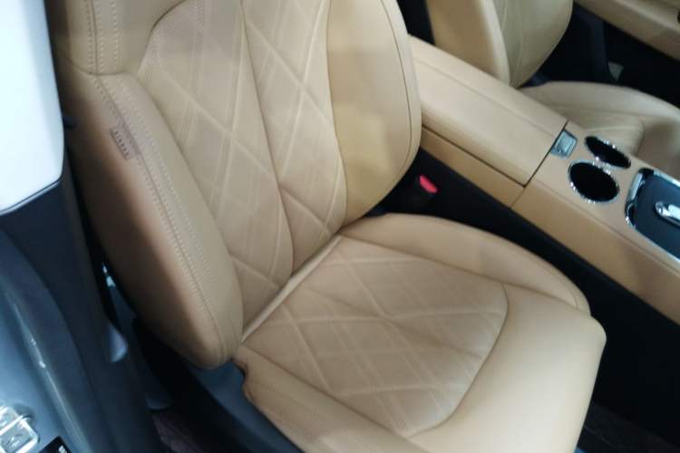 Used Leapmotor C11 2024 All-Electric 580 Luxury Edition Right Front Seat