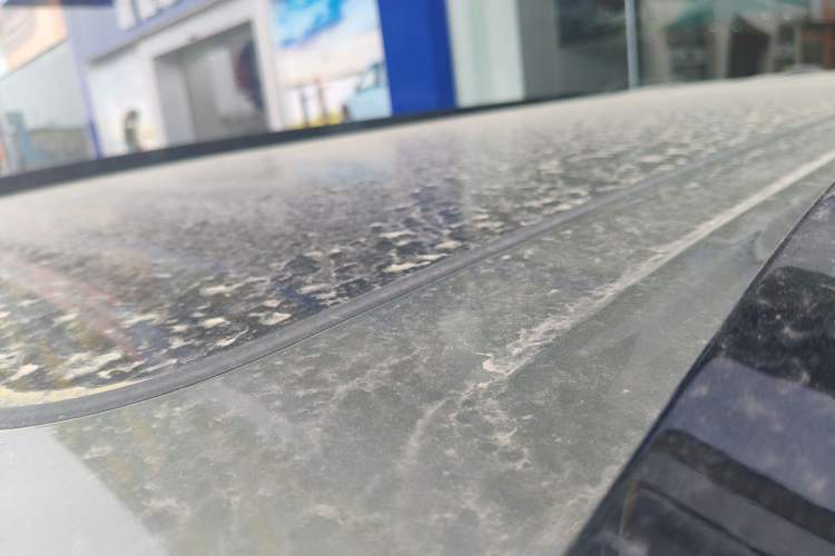 Used Brave warrior M817 2025 Model, Pro Roof