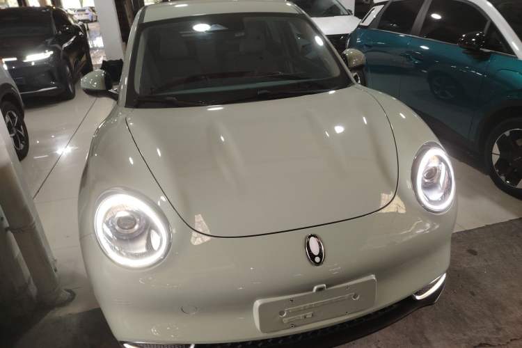 Used ORA Good Cat 2022 Morandi Edition 400km Standard Range Luxury Version Lithium-Ion Battery
