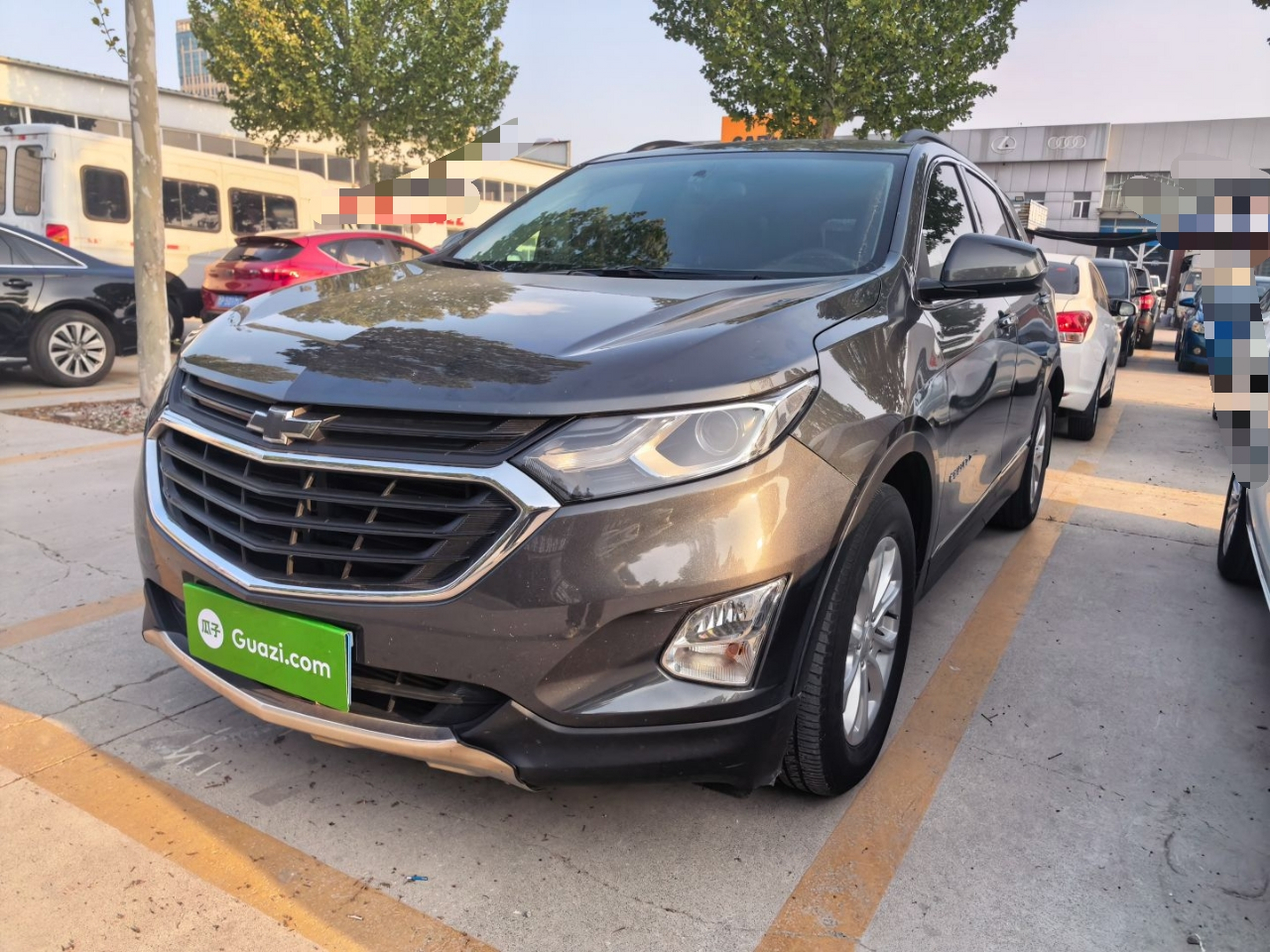 Parte inferior delantera