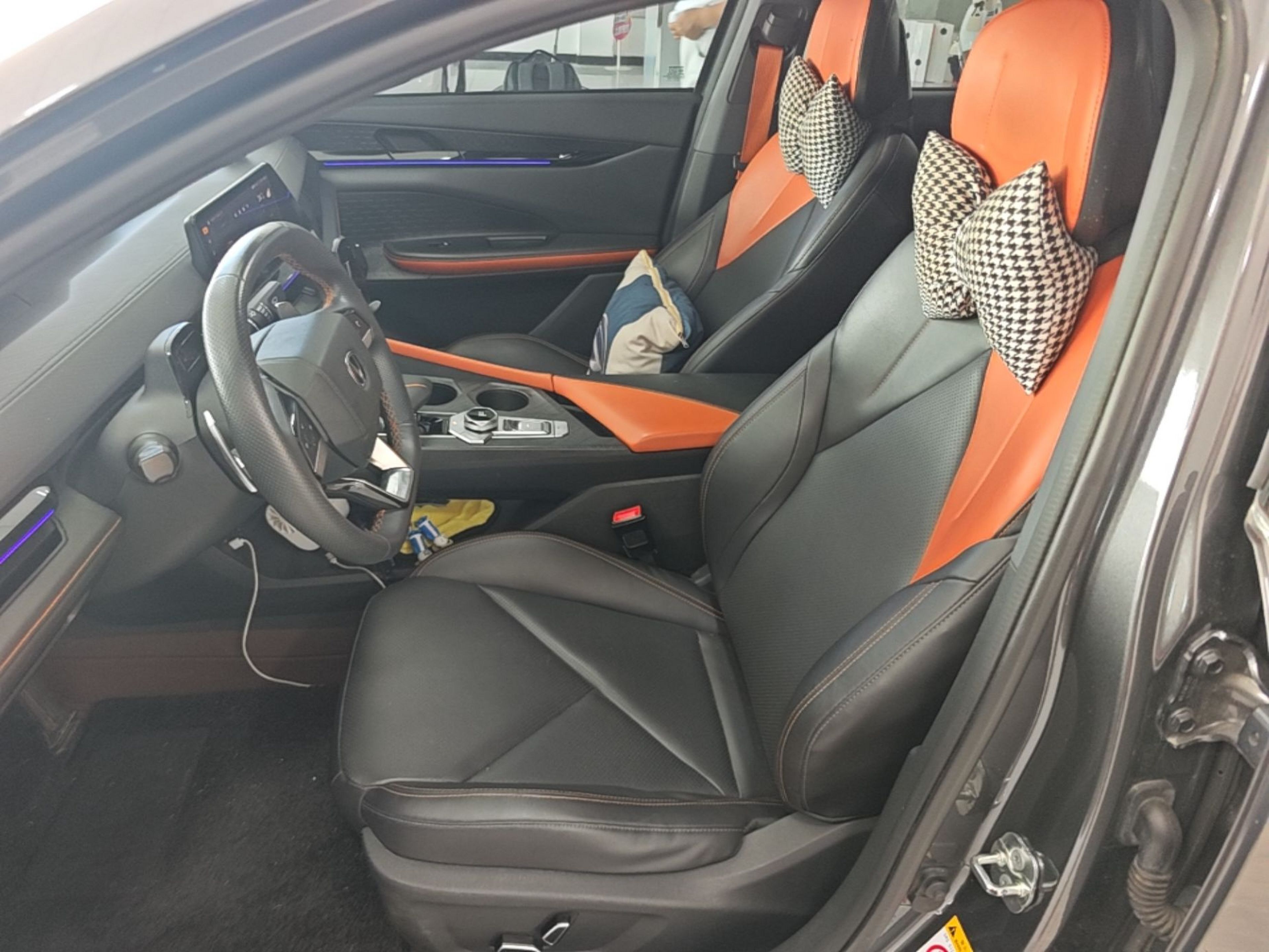 Interior delantero
