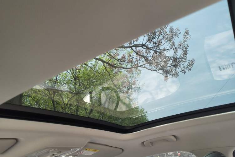 Used Roewe RX5 MAX 2021 Supreme Series 300TGI Automatic Luxury Cabin Edition Headliner