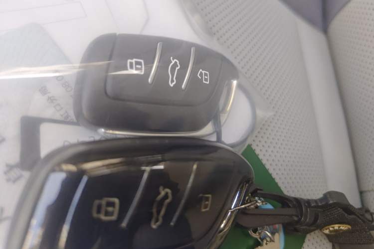 Used Rising ER6 2021 New Dynamic Edition 620km Smart Enjoyment Version
