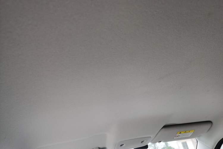 Used Leapmotor T03 2023 310 Lite Edition Headliner