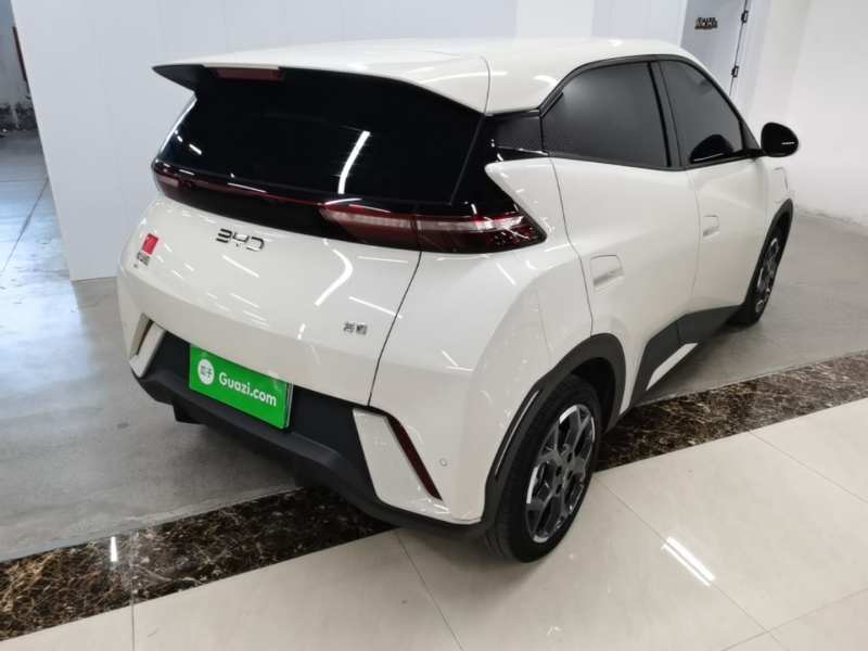 Used BYD Seagull 2025 305 km Free Version — 6