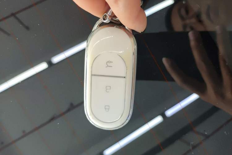 Used Leapmotor C01 2024 Pure Electric 525 Luxury Edition