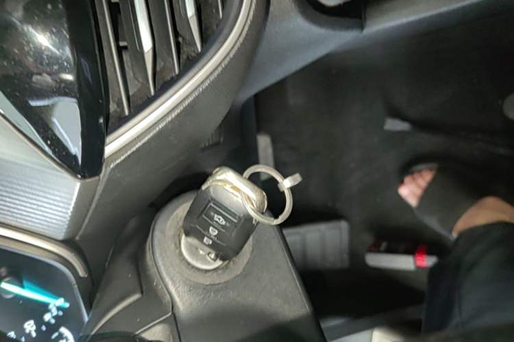 Used Ford Focus 2019 Sedan EcoBoost 180 Automatic Trend Edition