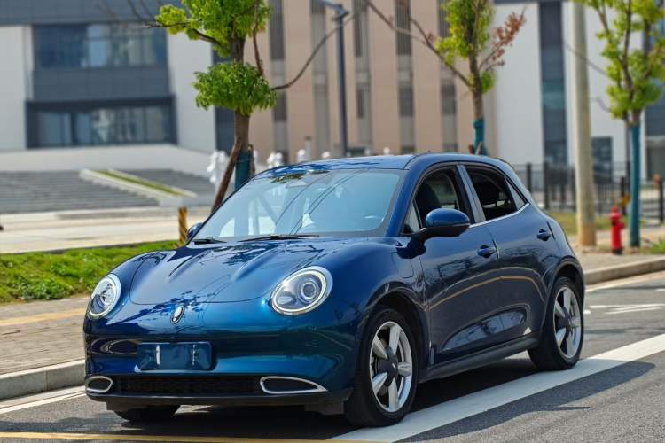 Used ORA Good Cat 2022 400km Standard Range Luxury Version Lithium Iron Phosphate