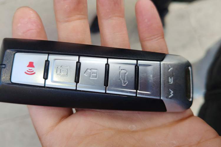 Used Tank 300 2021 Off-Road Edition 2.0T Conqueror