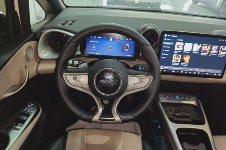 Used BYD Dolphin 2025 Smart Drive Version 420 km Freedom Edition
