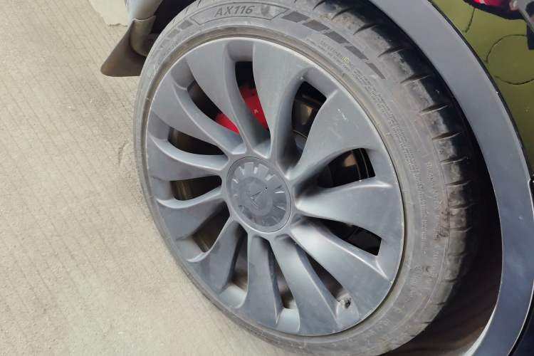 Used Tesla Model Y 2022 Performance High-Performance All-Wheel-Drive Version Exterior 5