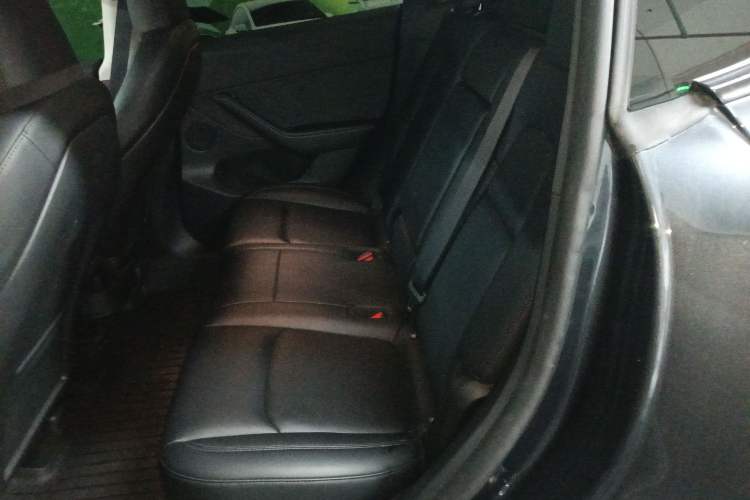 Used Tesla Model Y 2024 Rear-Wheel-Drive Version Left Rear Seat