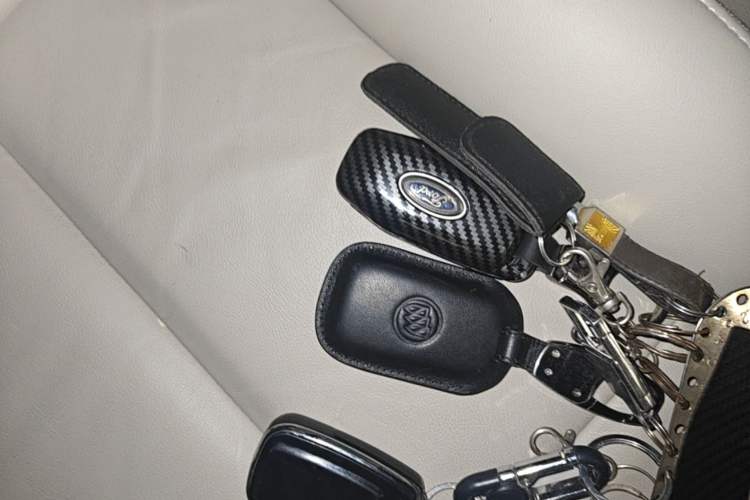 Used Buick GL8 2018 28T Luxury Model China VI Standard