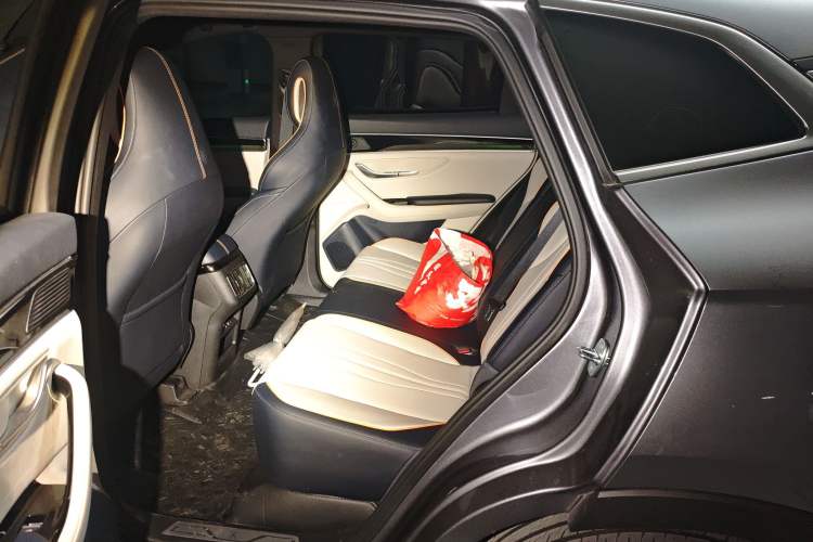 Used BYD Song PLUS New Energy 2021 DM-i 110KM Flagship PLUS Left Rear Seat