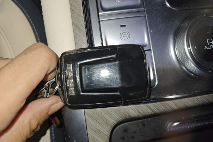 Used Tank 500 2022 3.0T Business Edition "Creation Realm" Design 5-Seater
