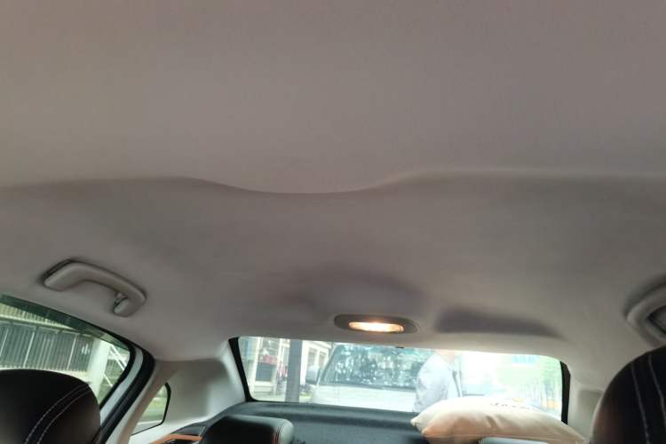 Used Citroen C-Quatre 2013 1.6L Manual Prestige CNG Model Headliner