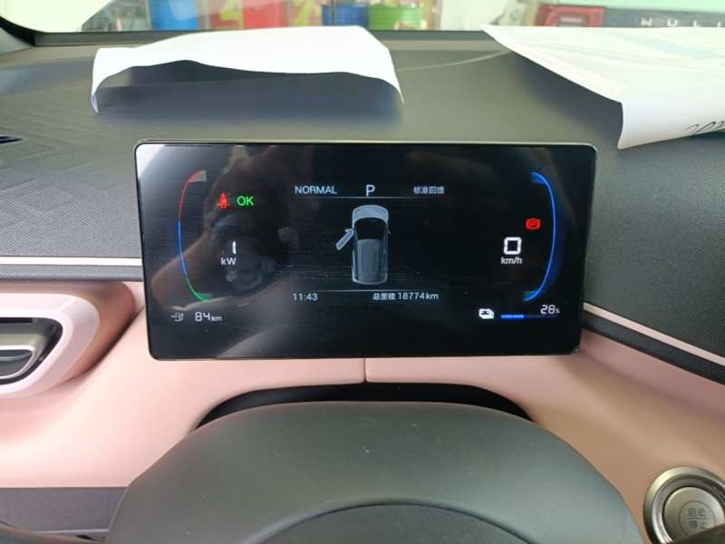 Used BYD Seagull 2025 305 km Free Version — 11