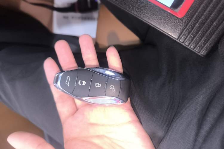 Used Hongqi HQ9 PHEV 2024 2.0T Four-Wheel Drive Business Edition