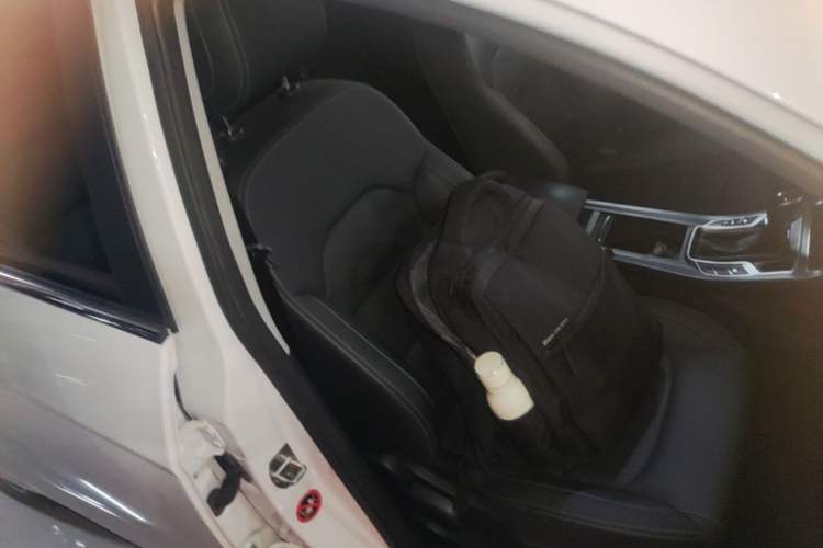 Used Geely Auto Emgrand 2019 Leading Edition 1.5L CVT Upward-Connected Model China VI Standard Right Front Seat