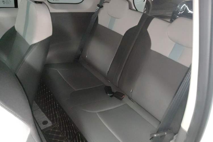 Used CHANGAN NEVO Lumin 2023 205km Xiangqin Version Left Rear Seat