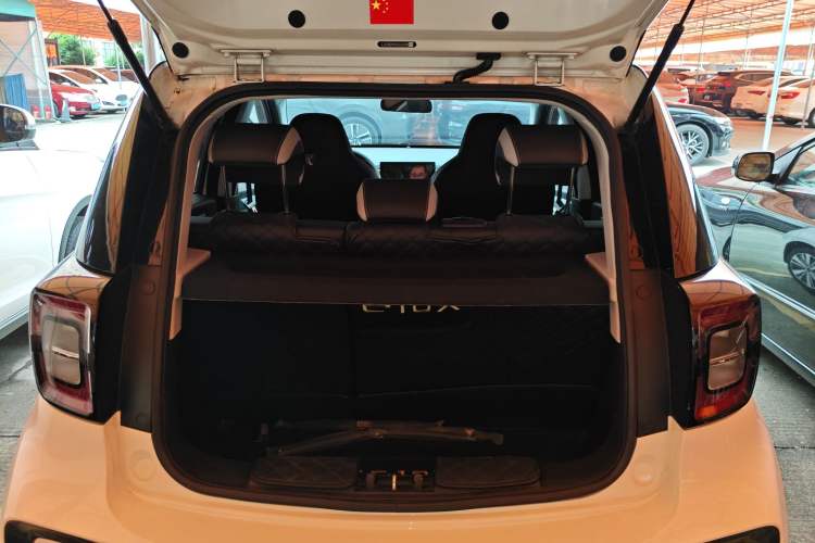 Used SOL E10X 2022 Flower Fairy Design Four-Leaf Clover Trunk