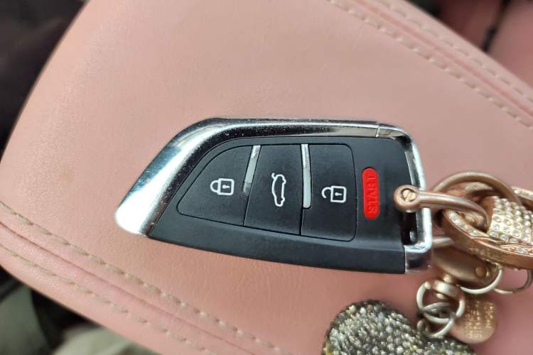 Used NETA V 2021 Witch Edition