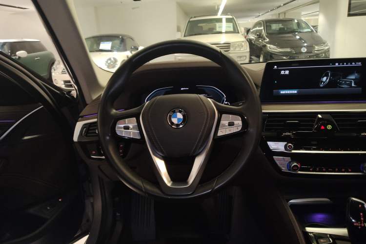 Used BMW 5 Series New Energy 2020 530Le Luxury Package