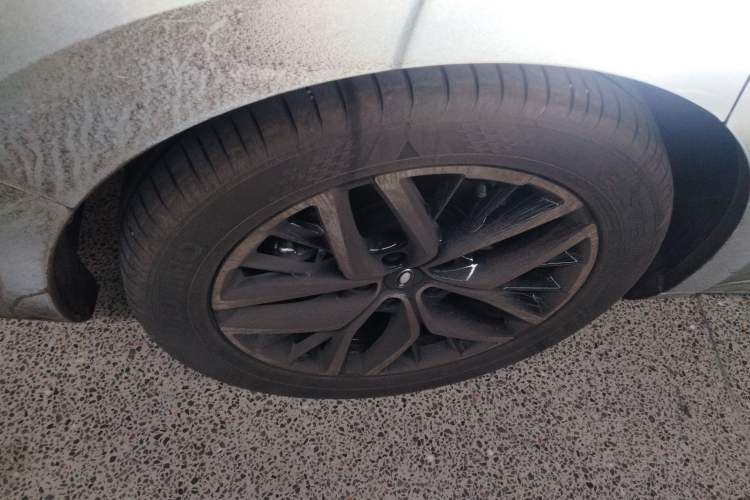 Used ORA Lightning Cat 2022 555 km Luxury Edition