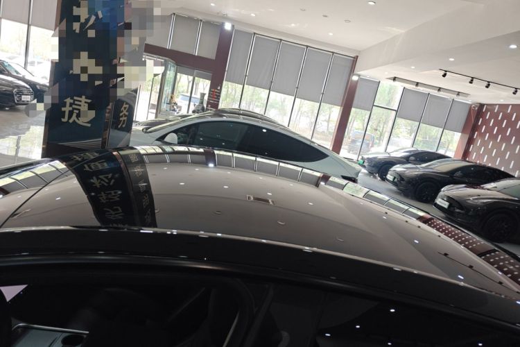 Used Tesla Model Y 2021 Standard Range Rear-Wheel Drive Version Roof