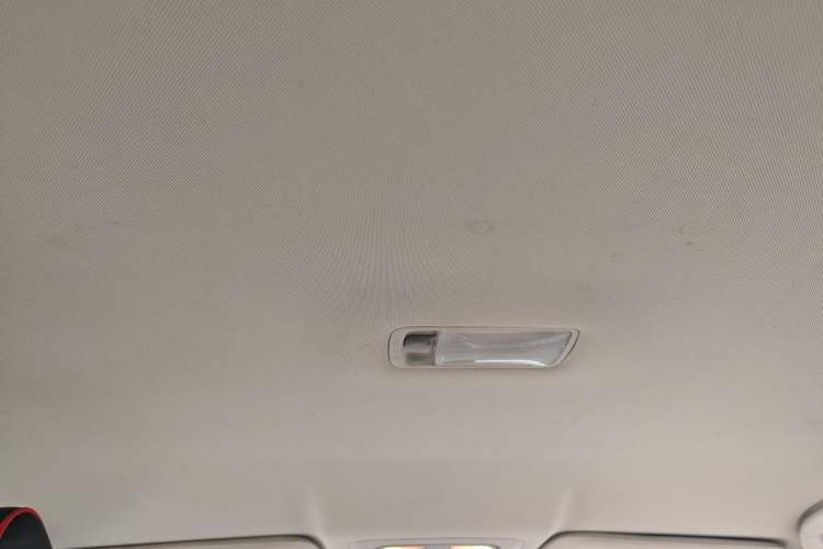 Used Venucia D60 2019 1.6L Entry Manual Fashion Edition Headliner