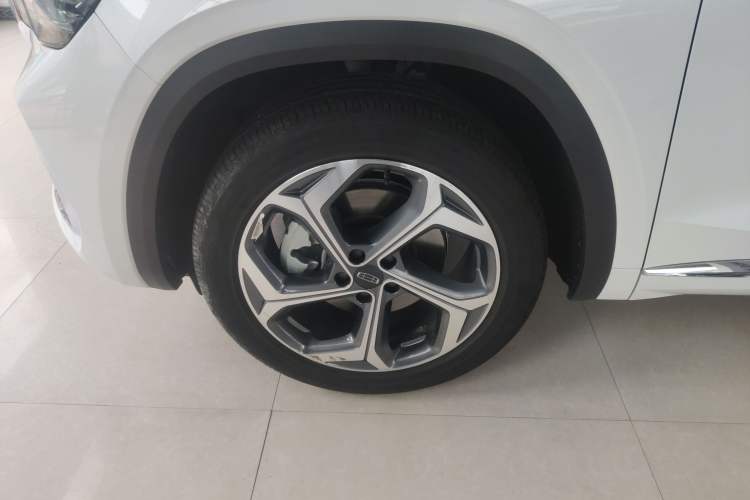 Used Geely Auto Monjaro L 2021 2.0TD DCT EVO Two-Wheel Drive Prestige Version