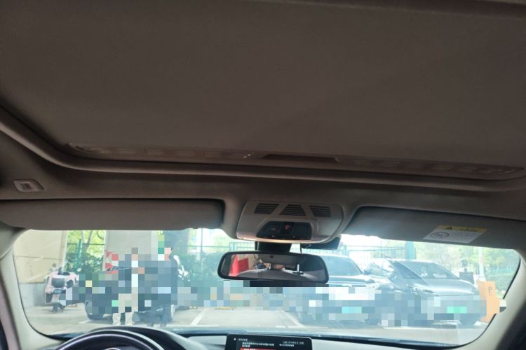 Used BMW 3 Series 2018 318Li Headliner