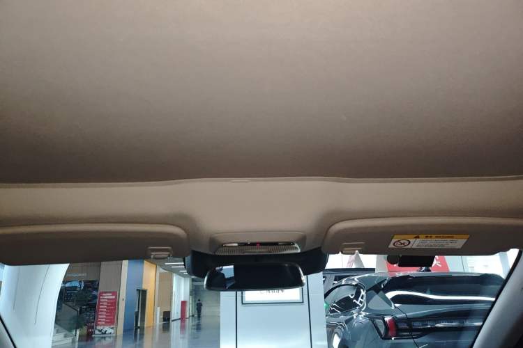 Used XPeng P7 2022 480E Headliner