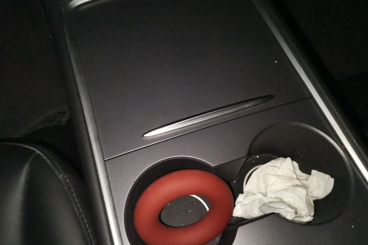 Used Tesla Model 3 2021 Standard Range Rear-Wheel Drive Upgraded Version 3D6
