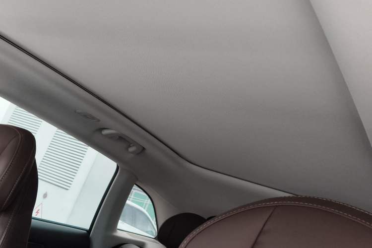 Used Leapmotor C11 2021 Revised Version Luxury Edition Headliner