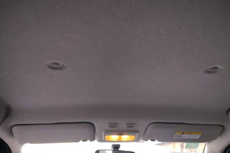 Used ORA Black Cat 2019 351 km Family Edition Headliner