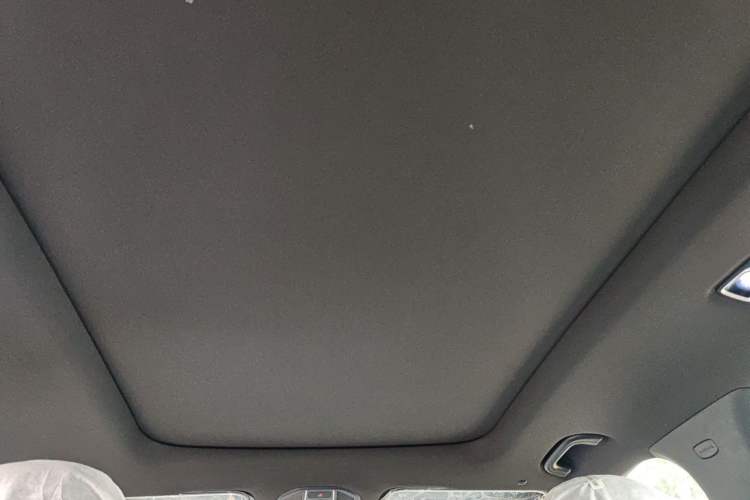 Used Geely Auto Monjaro L 2024 2.0TD DCT EVO Two-Wheel Drive Long-Range Version Headliner