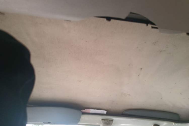 Used Wuling Zhiguang 2010 1.0L Liye Edition Headliner