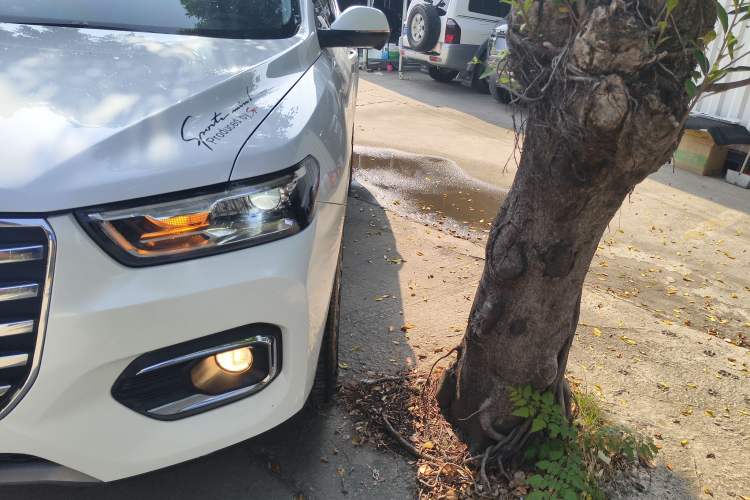 Used Haval H6 2020 1.5 GDIT Automatic Platinum Champion Edition
