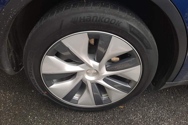 Used Tesla Model Y 2021 Standard Range Rear-Wheel Drive Version
