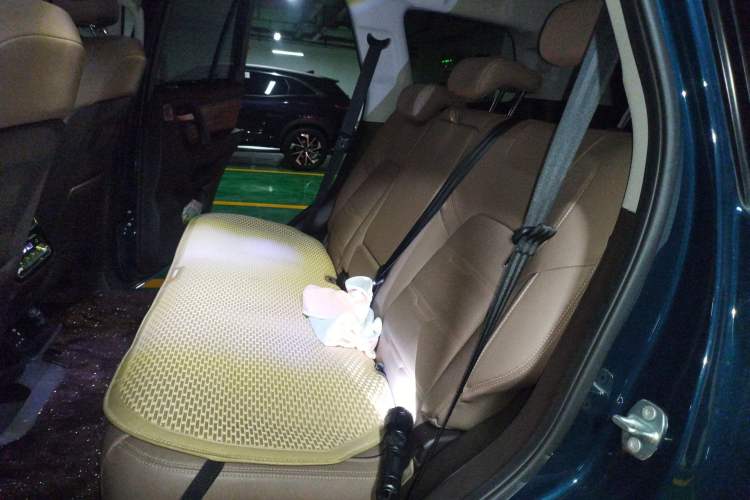 Used BAIC Off-Road BJ60 2022 2.0T Version 11 Five Seats
