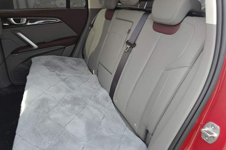 Used Baojun RS-5 2019 1.5T CVT Intelligent Driving Flagship Edition China V Emission Standard Left Rear Seat